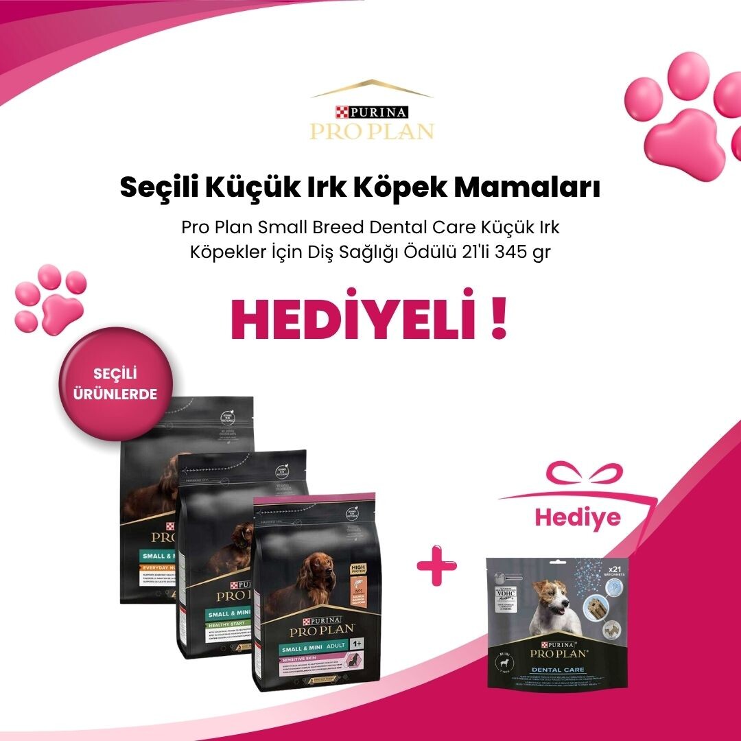 Seçili Pro Plan Küçük Irk Köpek Mamalarında Pro Plan Small Breed Dental Care Küçük Irk Köpekler İçin Diş Sağlığı Ödülü 21'li 345 gr Hediye