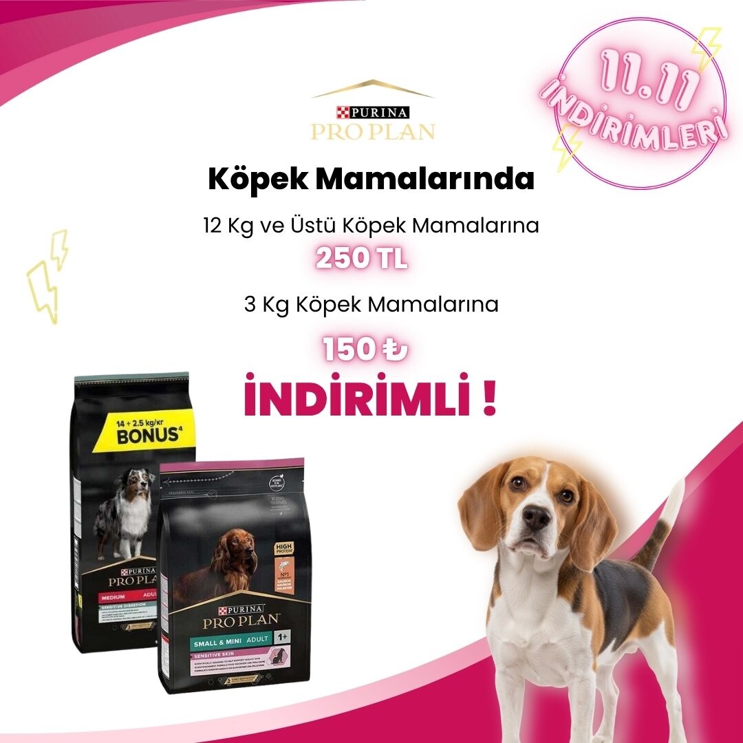 Pro Plan Köpek Kampanyaları