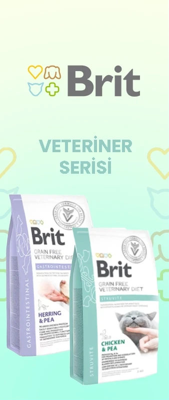 birt banner