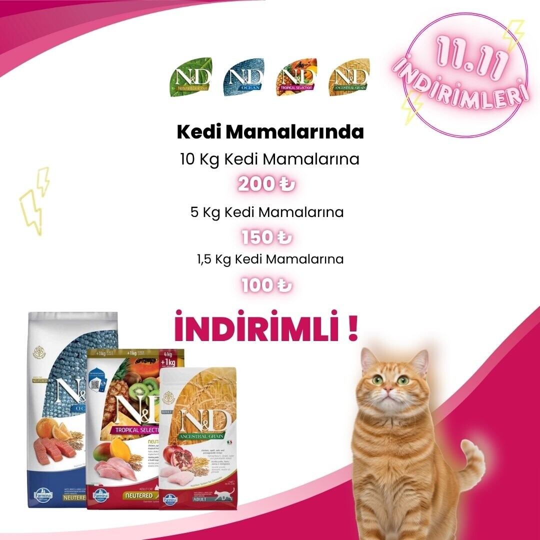 N&D Kedi Kampanyalar