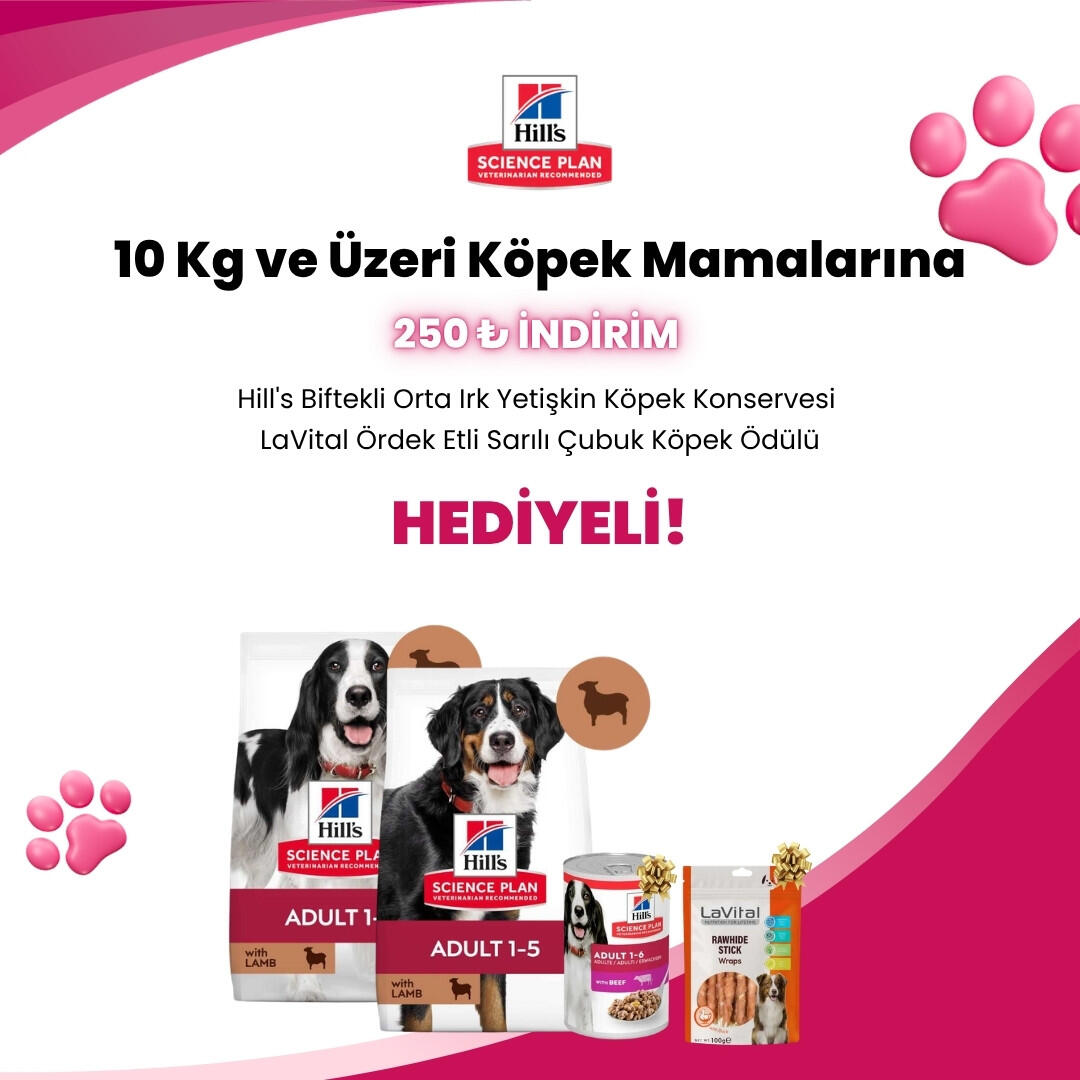 Hill’s Science Plan 10 Kg ve Üstü Köpek Mamaları
