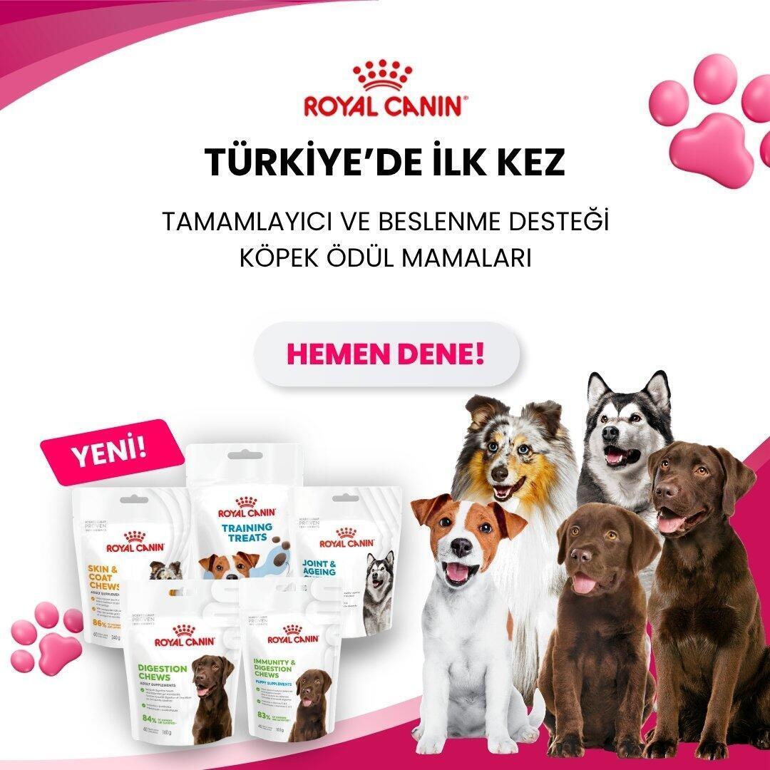Royal Canin Yeni Köpek Konserveleri
