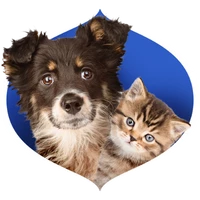 farmina kedi köpek
