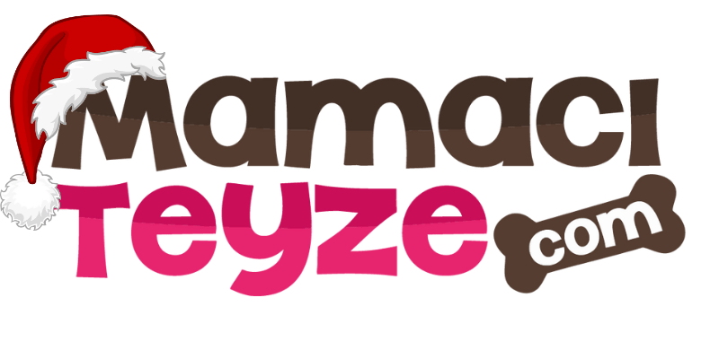 mamaci-teyze-yilbasi-logosu-800.png