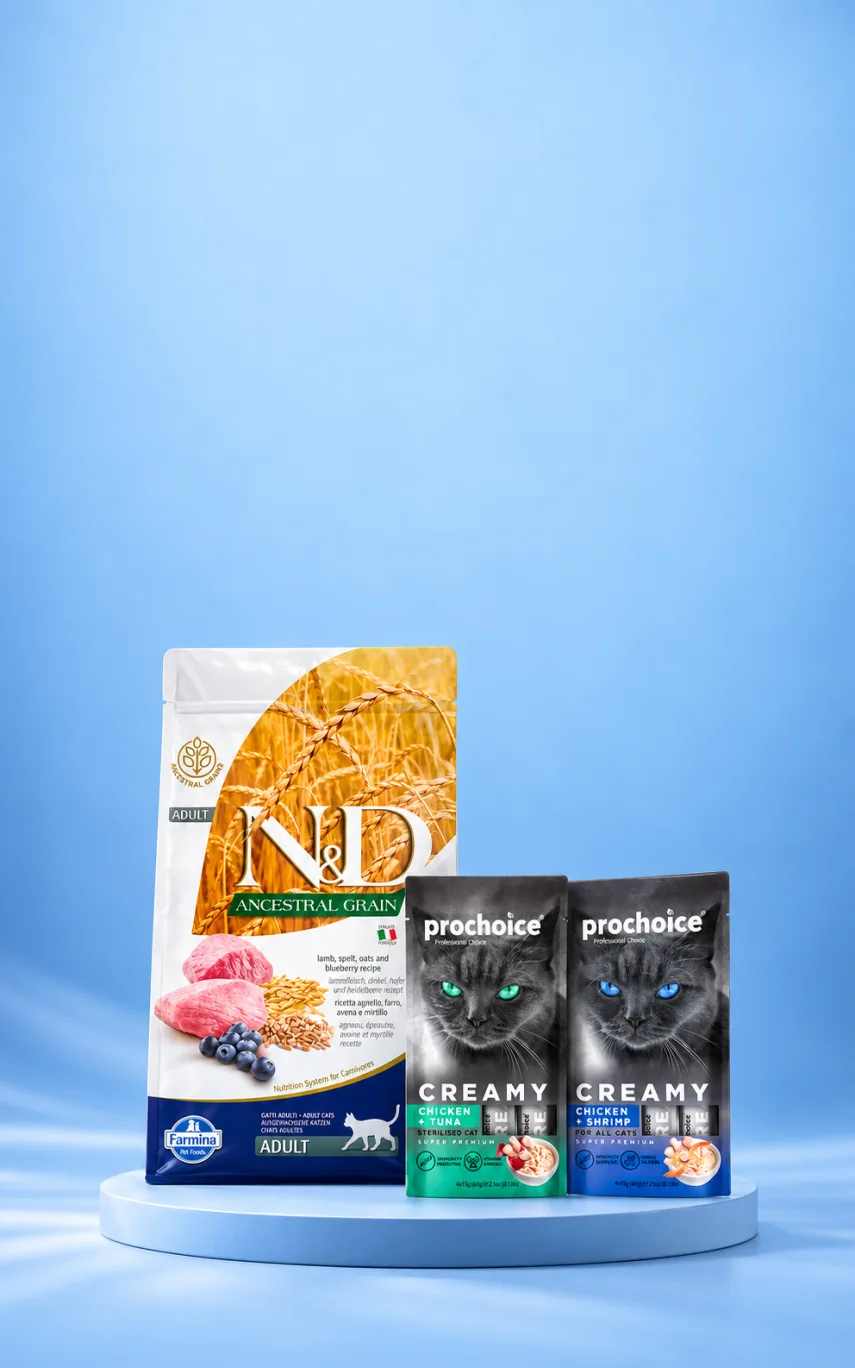 N&D 1,5 kg Kedi Mamalarına Hediyeler
