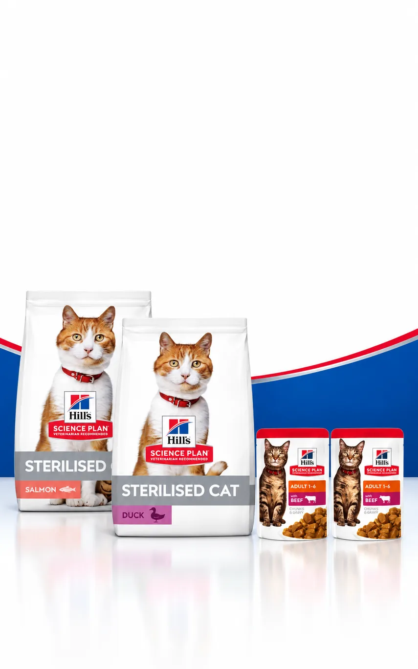 Hill's 1,5 kg Kedi Mamalarına Konserve Hediye