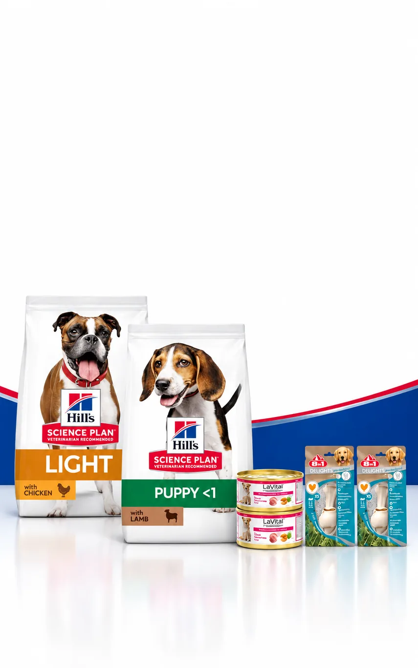 Hill's 2,5 kg Köpek Mamalarına Hediyeler