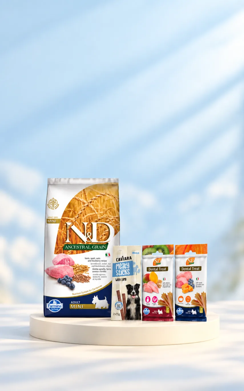 N&D 5 ve 7 kg Köpek Mamalarına Hediyeler