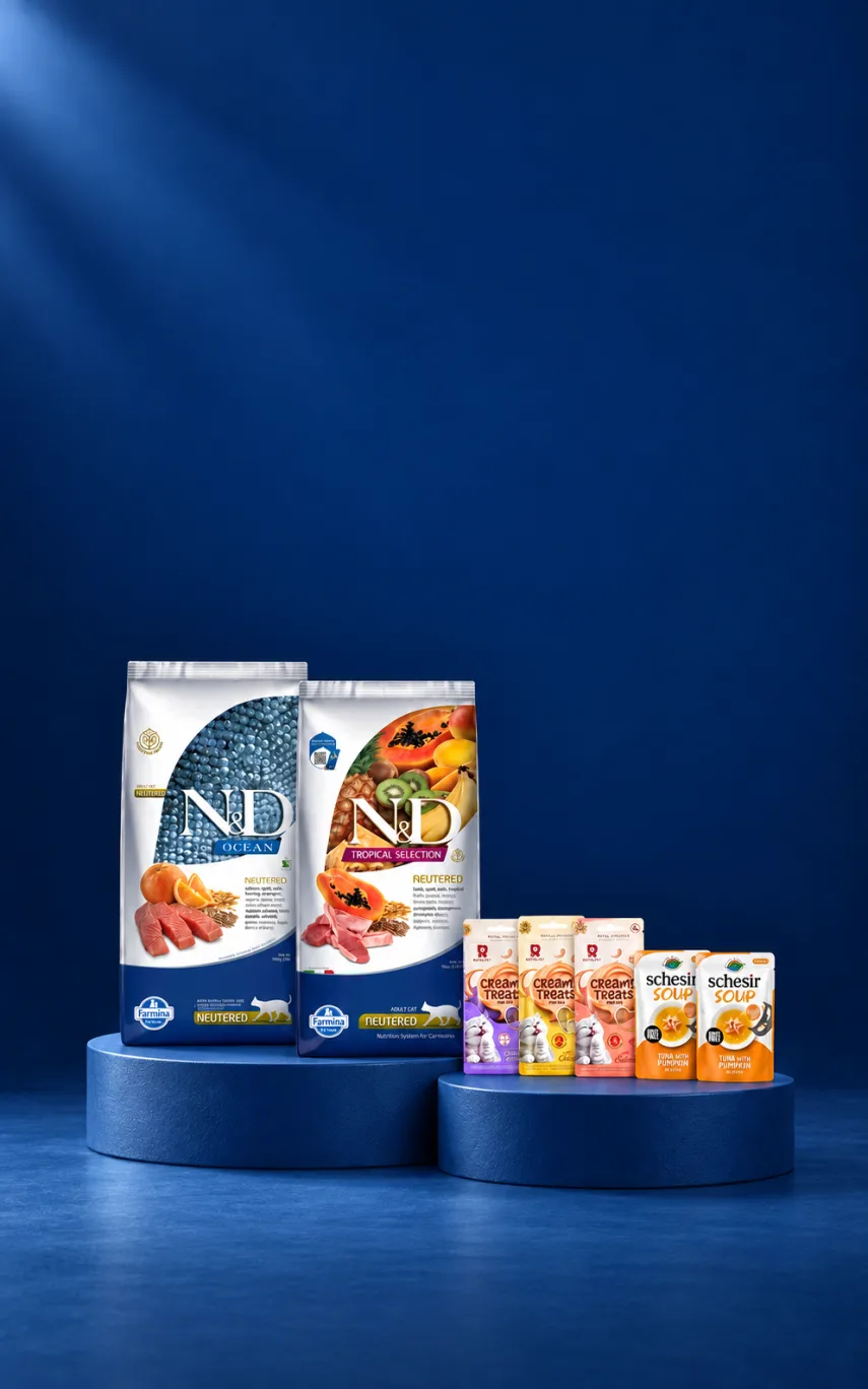 N&D 10 kg Kedi Mamalarına Hediyeler