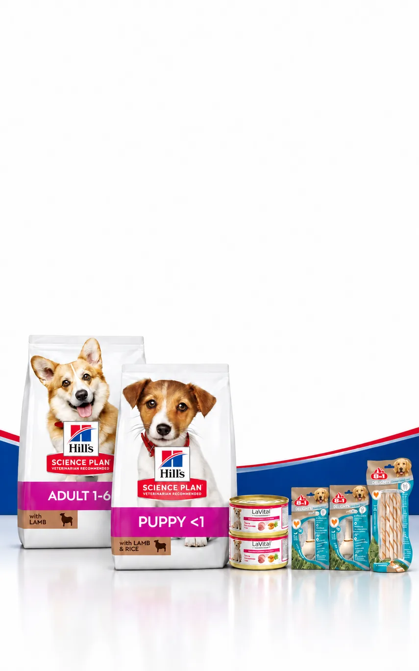 Hill's 6 kg Köpek Mamalarına Hediyeler