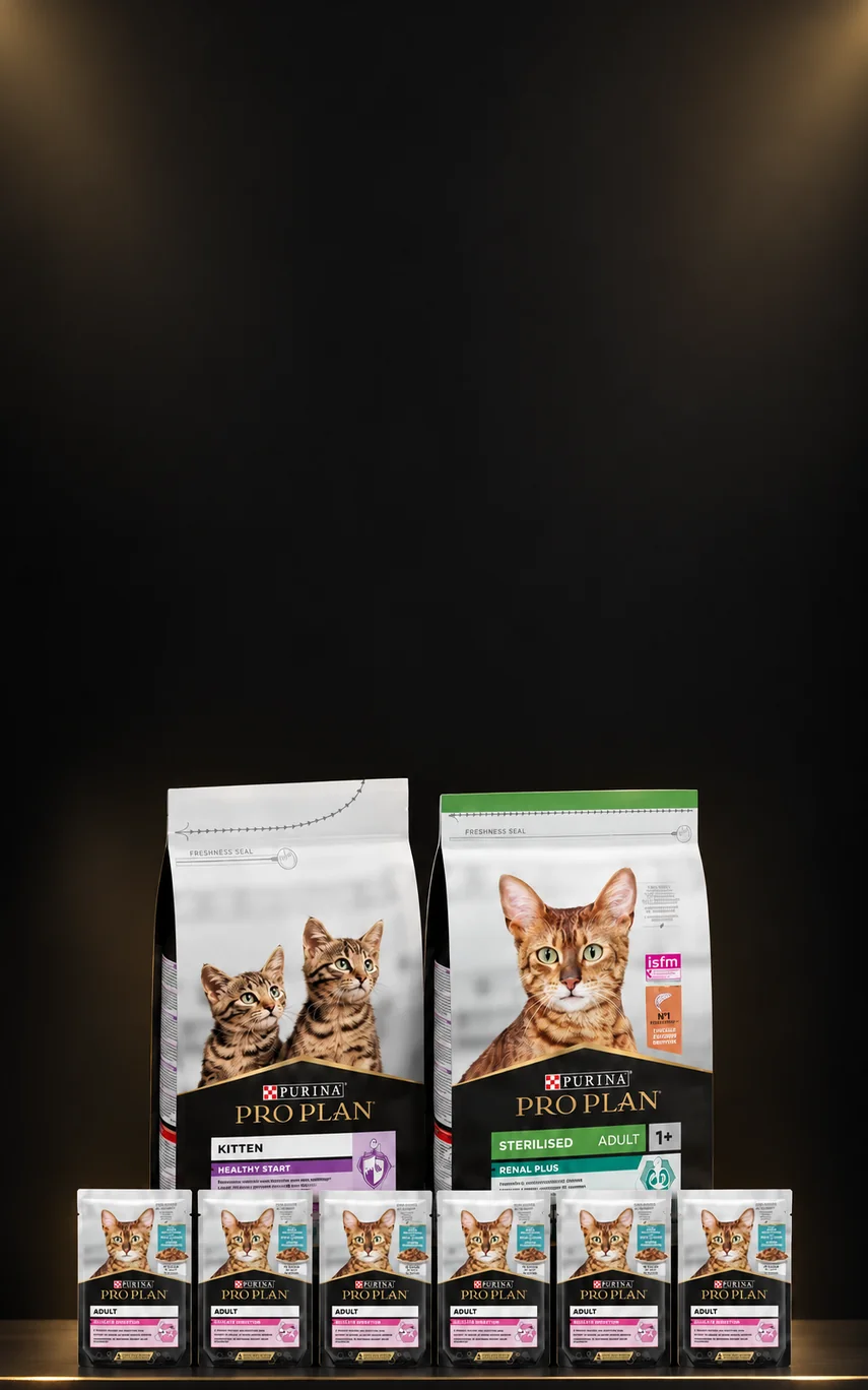 Pro Plan 3 Kg Kedi Mamalarına Pro Plan Pounch Hediye
