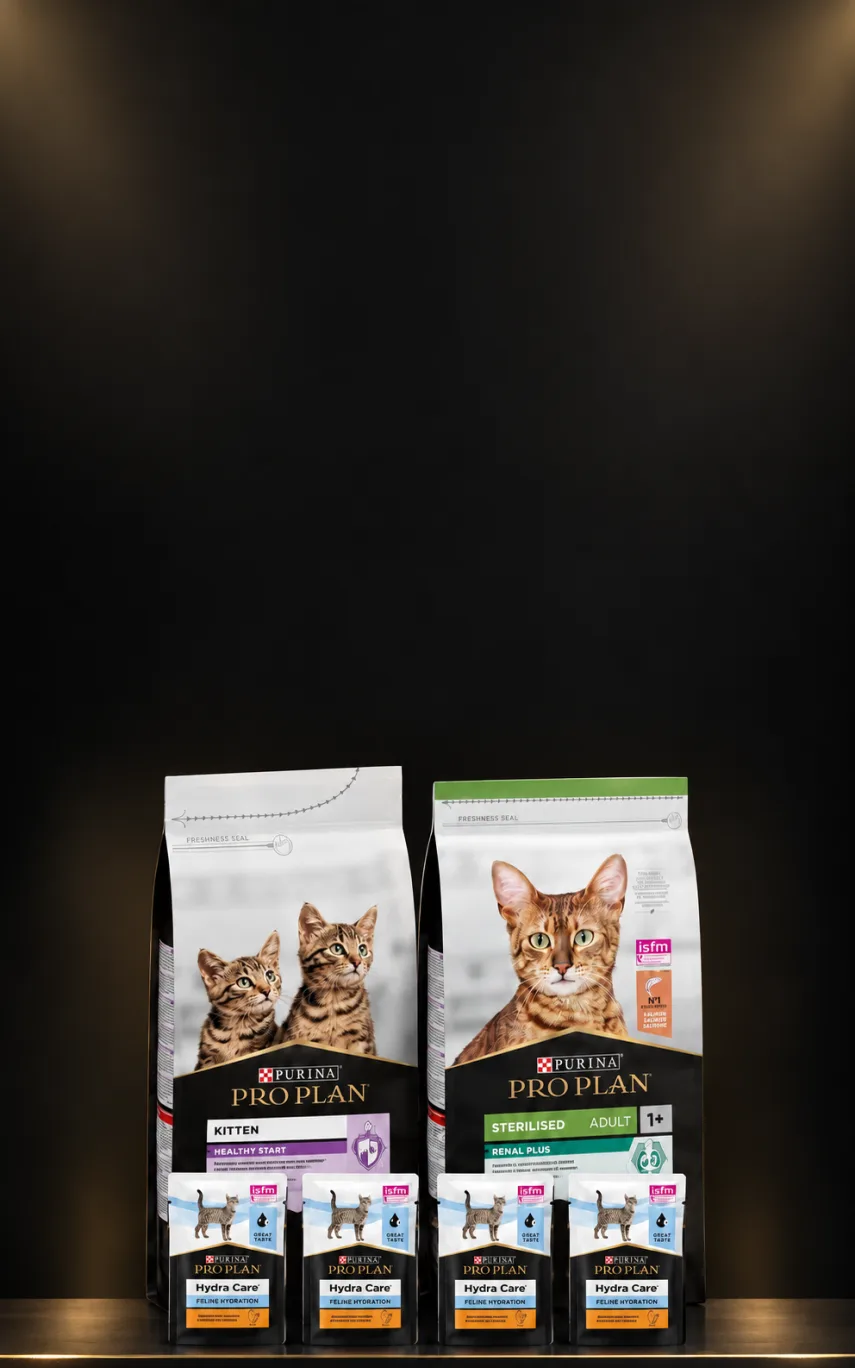 Pro Plan 1,5 kg Kedi Mamalarına Hydra Care Hediye