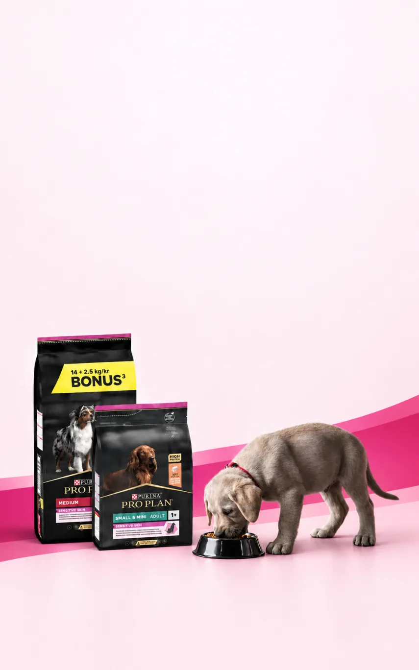 Pro Plan Köpek Mamalarında 2.000 TL'ye 600 TL İndirim