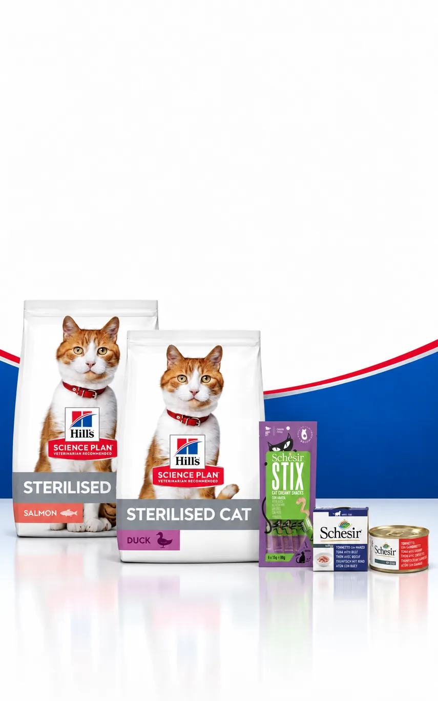Hill's 3 kg Kedi Mamalarına Hediyeler
