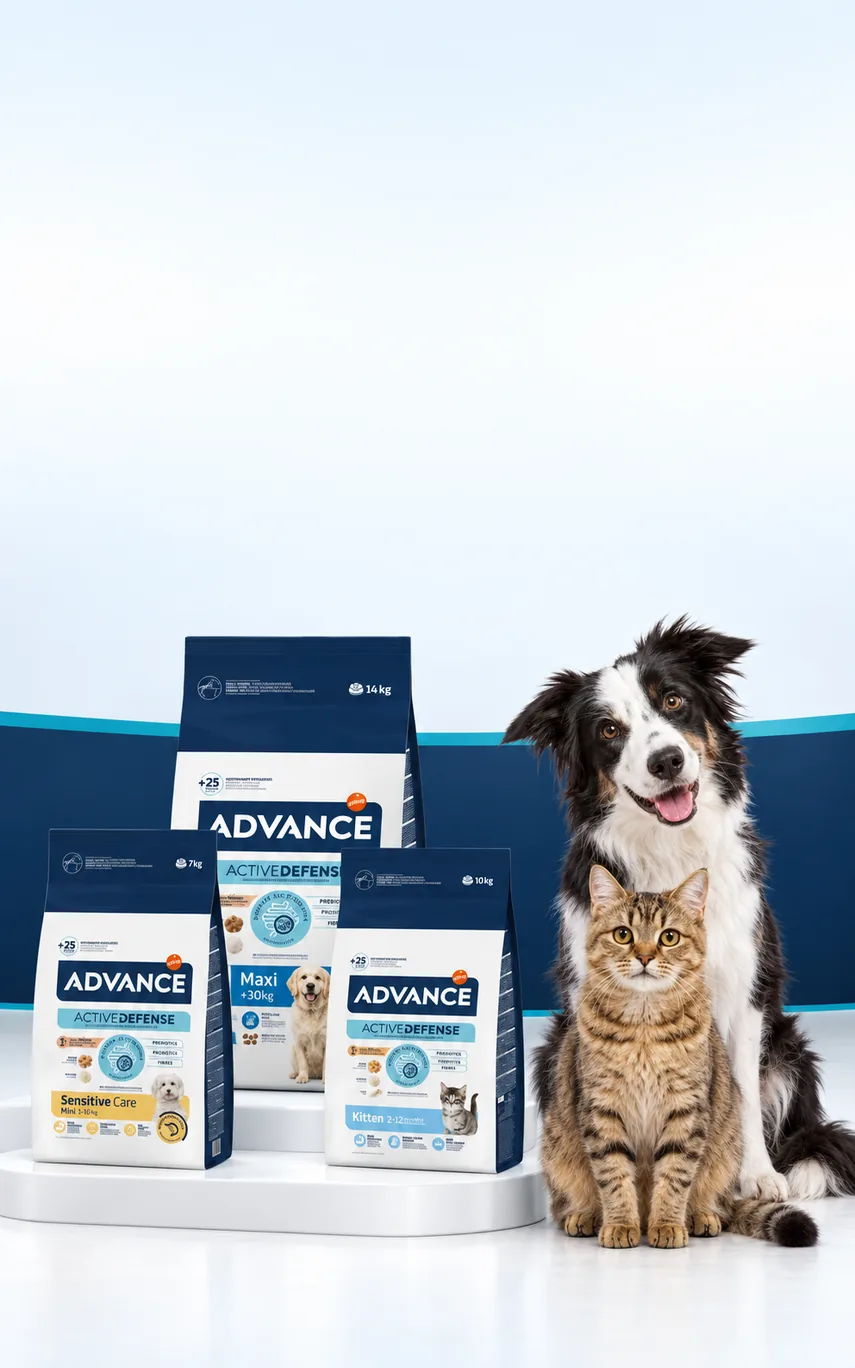 Advance Mamalarında 2.000 TL'ye 150 TL İndirim