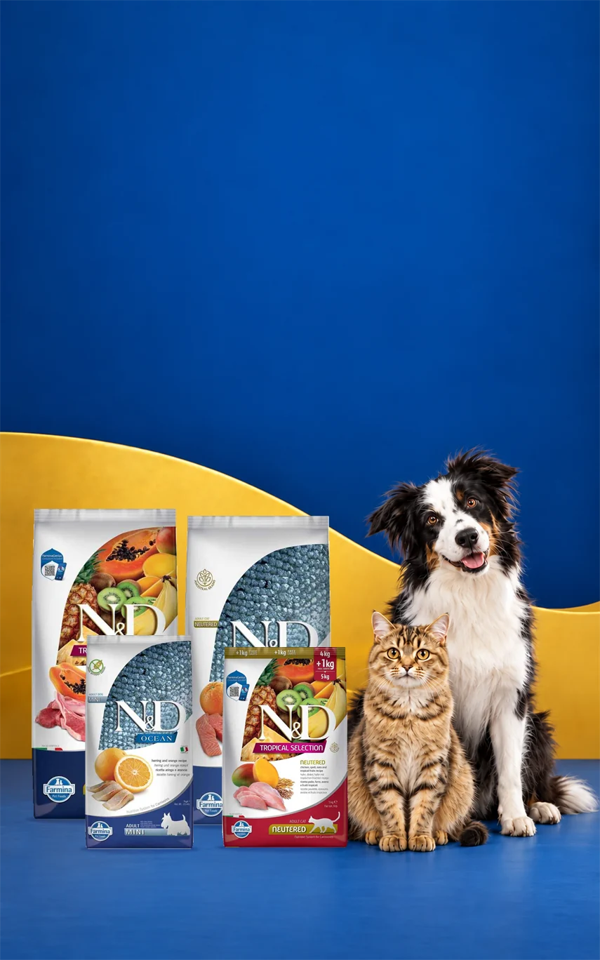 N&D Mamalarında 4.000 TL'ye 350 TL İndirim