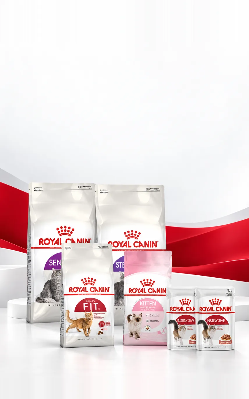 Royal Canin Kedi Mamalarına Konserve Hediye