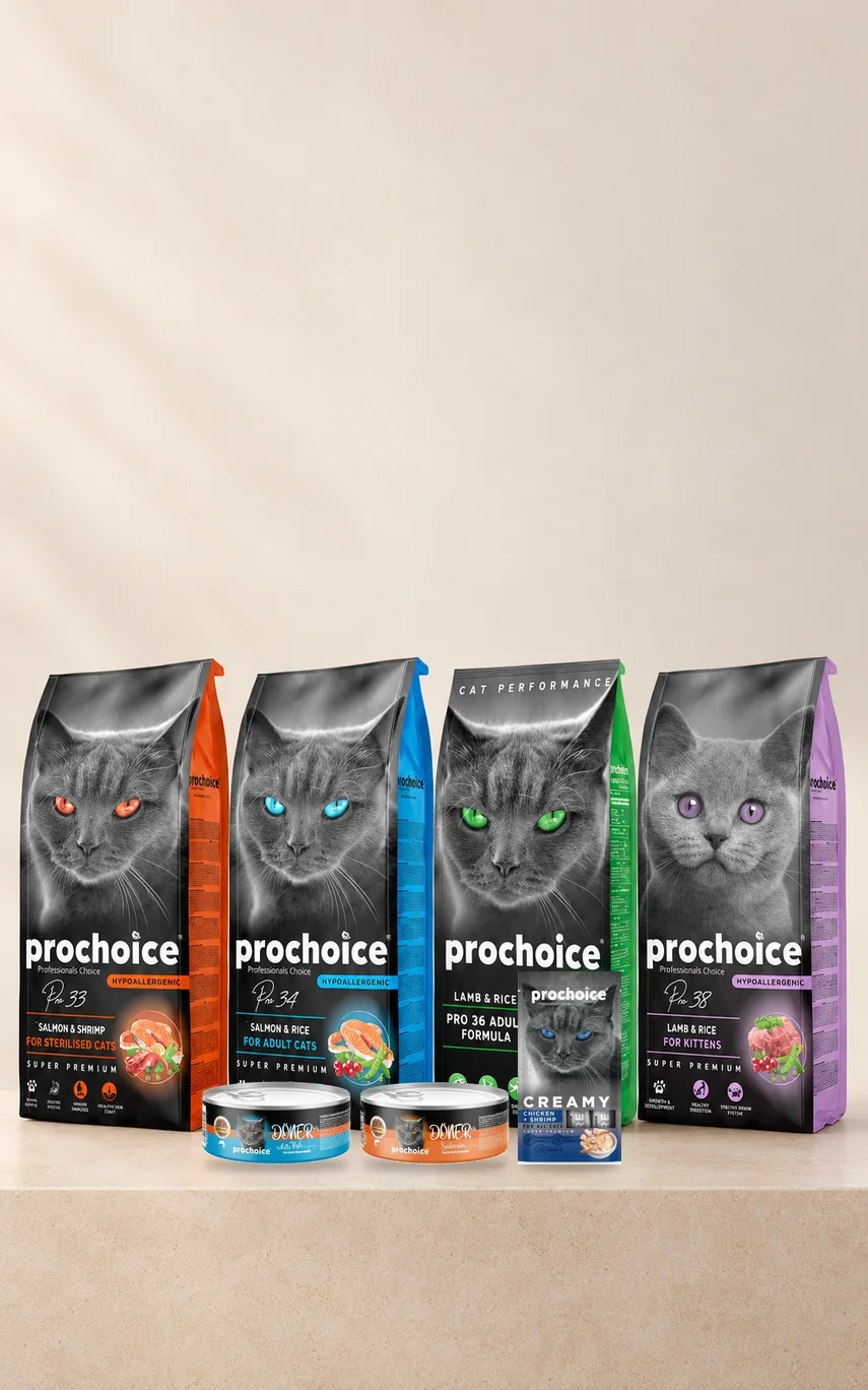 Prochoice 2 kg Kedi Mamalarına Hediyeler