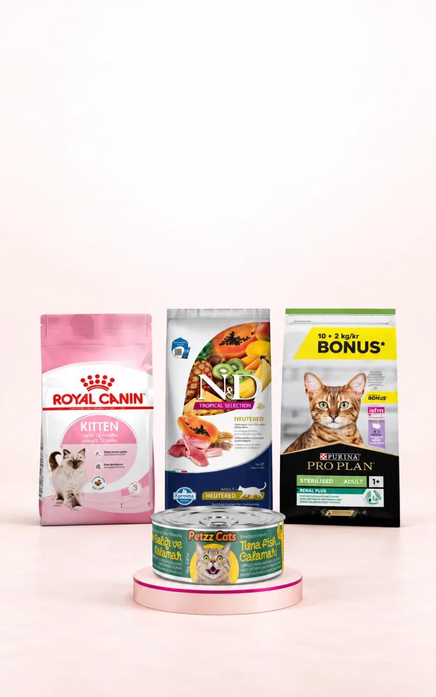 2.000 TL Üzeri Kedi Alışverişine Konserve Hediye