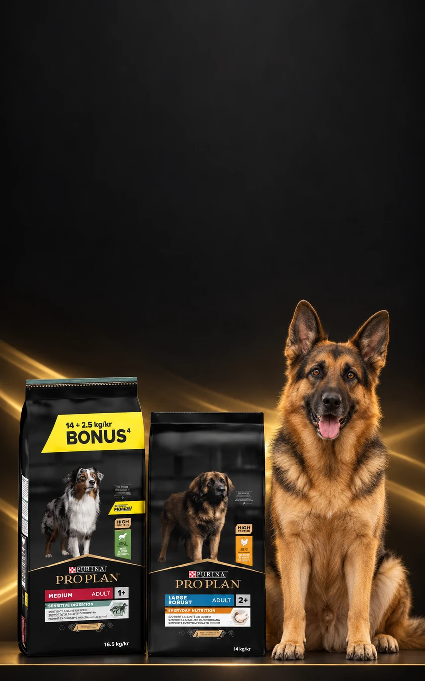 Pro Plan 12 Kg ve Üzeri Köpek Mamalarında 200 TL İndirim