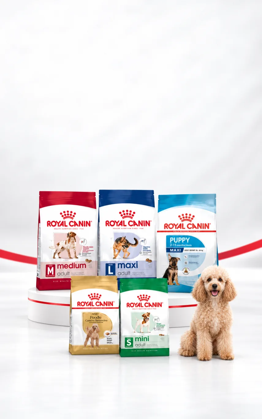 Royal Canin 3 ve 4 kg Köpek Mamalarında 200 TL İndirim