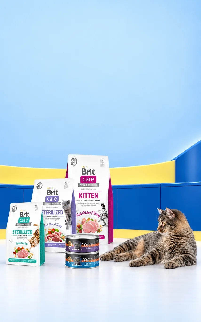 Brit Care Kedi Mamalarına Konserve Hediye