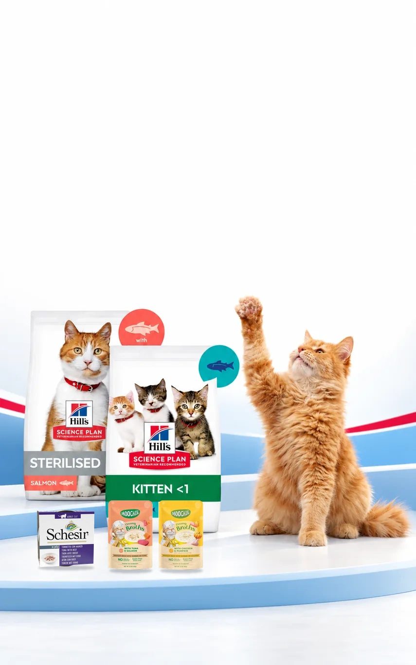 Hill's 3 kg Kedi Mamalarına Hediyeler