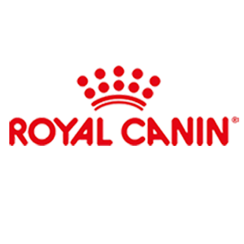 Royal Canin 3 ve 4 Kg Köpek Mamalarına 150TL İndirim
