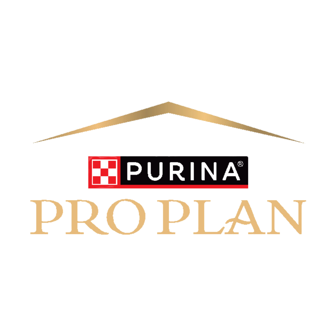 Pro Plan 12 Kg ve Üzeri Köpek Mamalarına Sepette 200TL İndirim