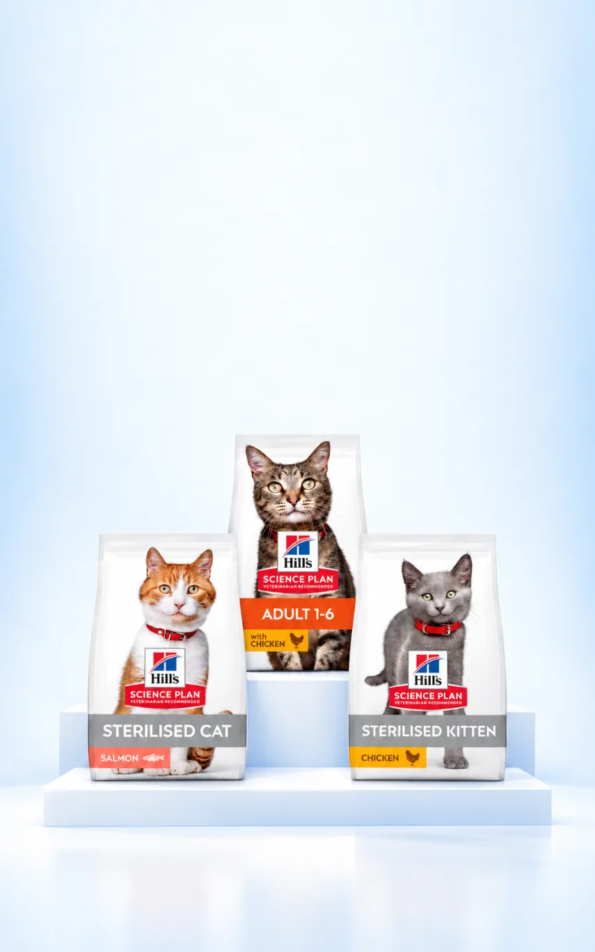 Hill's 1,5 kg Kedi Mamalarında 2. Ürüne %10 İndirim