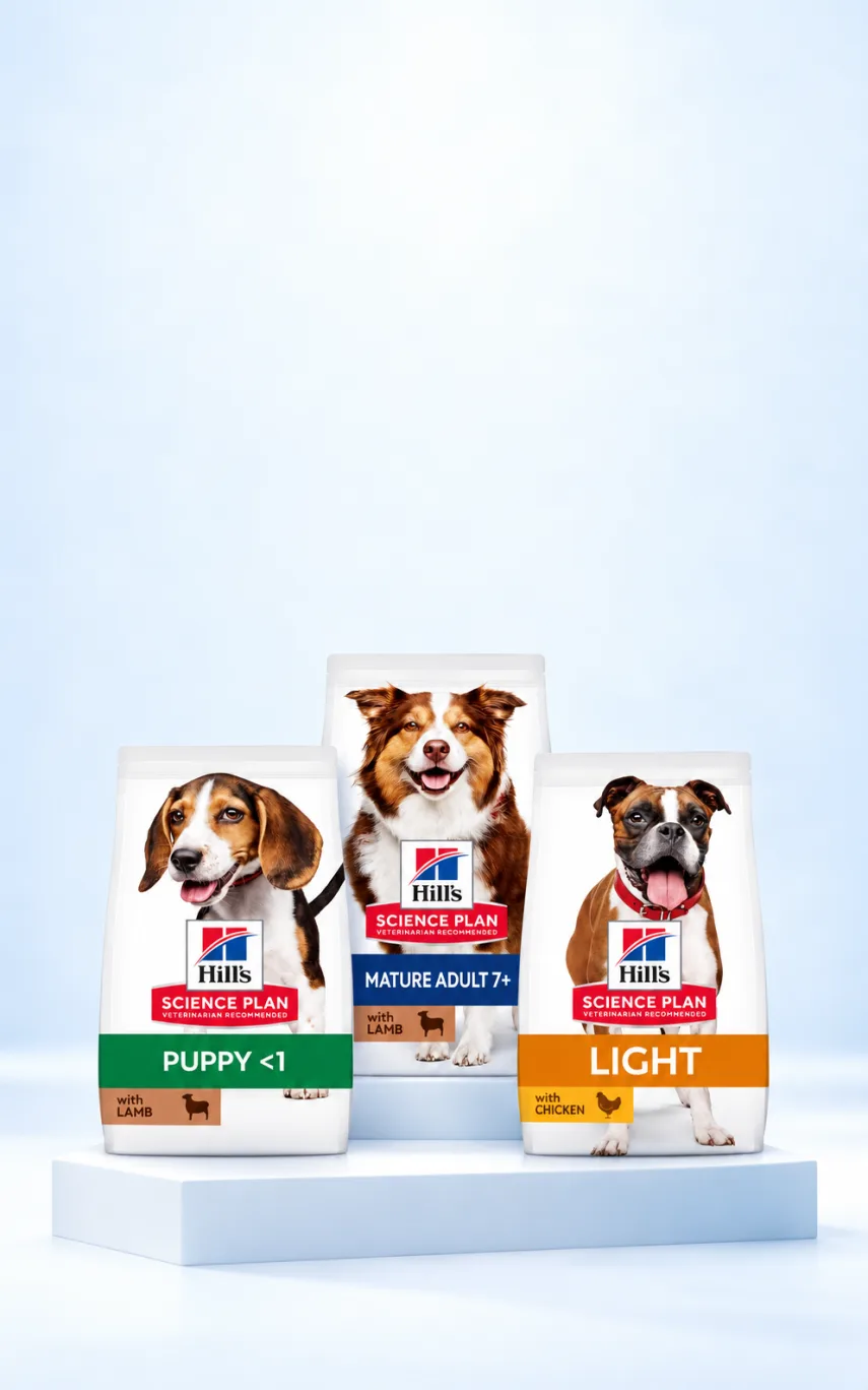 Hill's 2,5 kg Köpek Mamalarında 2. Ürüne %10 İndirim