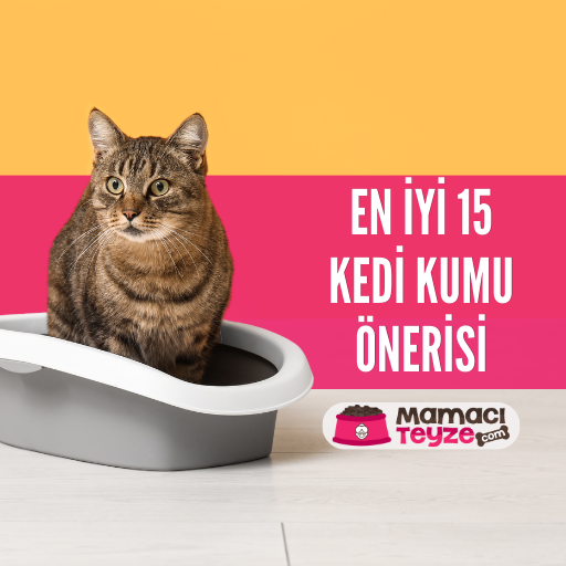 En İyi 15 Kedi Kumu Önerisi 2025 - Kedi Kumu Rehberi