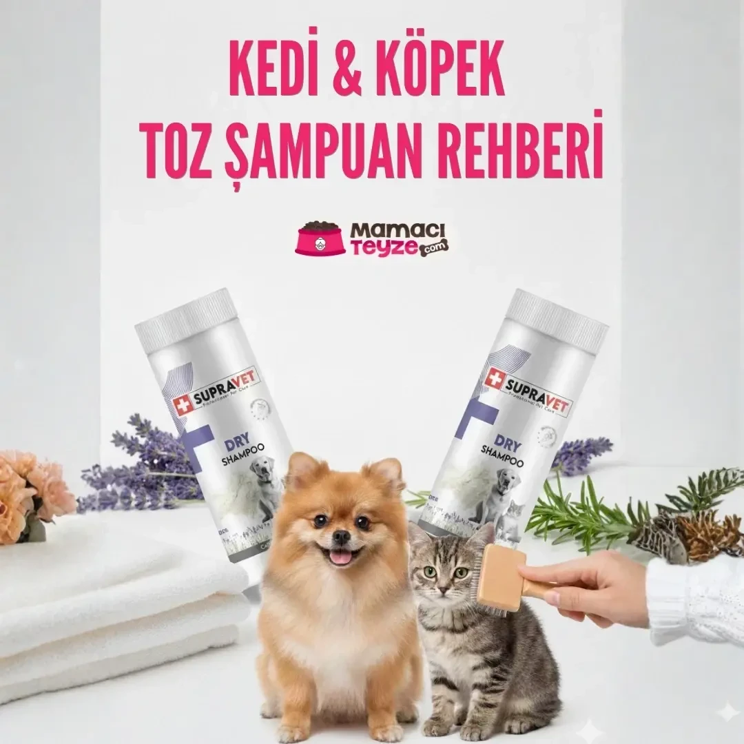 Kedi ve Köpek Toz Şampuan Rehberi | Pratik Temizlik İpuçları