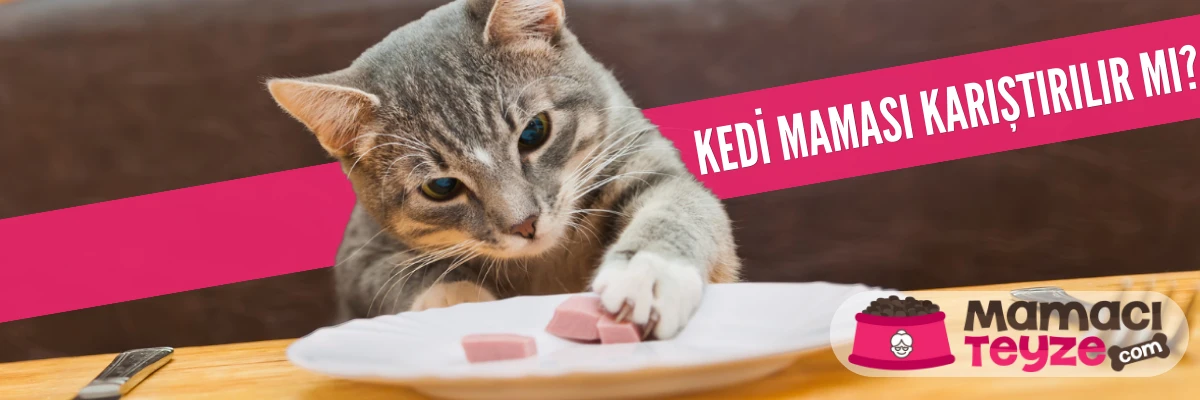 Kedi Maması Karıştırılır mı?