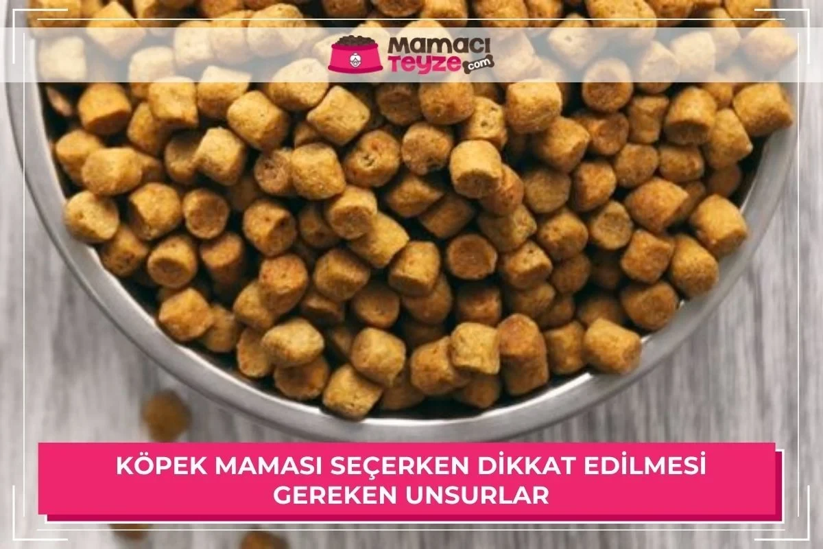 Köpek Maması Seçerken Dikkat Edilmesi Gereken Unsurlar Nelerdir?