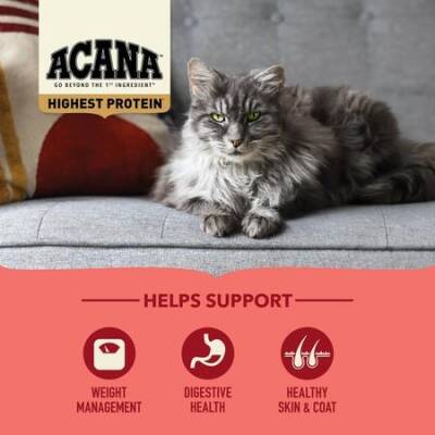 Acana Indoor Yüksek Proteinli (High Protein) Evde Beslenen Kediler İçin Yetişkin Kedi Maması 4,5 kg - 3