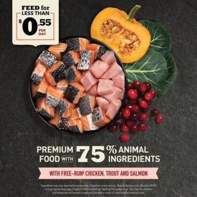 Acana Indoor Yüksek Proteinli (High Protein) Evde Beslenen Kediler İçin Yetişkin Kedi Maması 4,5 kg - 4