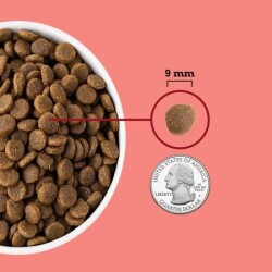 Acana Indoor Yüksek Proteinli (High Protein) Evde Beslenen Kediler İçin Yetişkin Kedi Maması 4,5 kg - 5