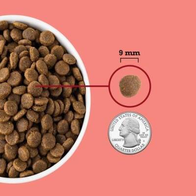 Acana Indoor Yüksek Proteinli (High Protein) Evde Beslenen Kediler İçin Yetişkin Kedi Maması 4,5 kg - 5