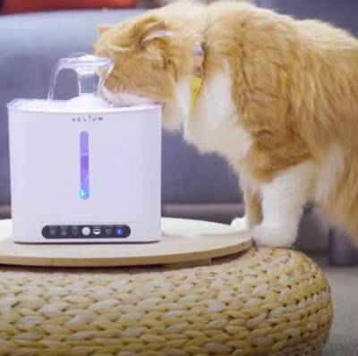 Aclium Otomatik Sensörlü Kedi Su Pınarı 2,4 Lt - 3