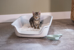 Beeztees Açık Yavru Kedi Tuvaleti, Gri, 56x39x13cm - 3