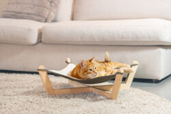 Beeztees DBL Kedi Hamağı, Gri, 51x51x18,5cm - 3