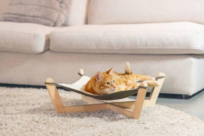 Beeztees DBL Kedi Hamağı, Gri, 51x51x18,5cm - 3