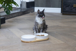Beeztees DBL Kedi İkili Mama ve Su Kabı, Seramik, Beyaz, 34x17,5x5,5cm, 2x350ml - 4