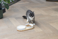 Beeztees DBL Kedi İkili Mama ve Su Kabı, Seramik, Beyaz, 34x17,5x5,5cm, 2x350ml - 5