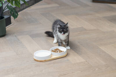 Beeztees DBL Kedi İkili Mama ve Su Kabı, Seramik, Beyaz, 34x17,5x5,5cm, 2x350ml - 5