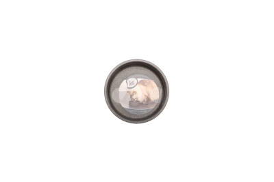 Beeztees DBL Kedi Mama Su Kabı, Bambu, Antrasit 12cm, 250ml - 5