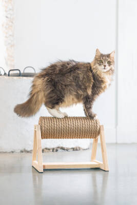 Beeztees DBL Kedi Tırmalama, 36x29,5x28cm - 2