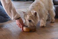 Beeztees DBL Köpek Mama Su Kabı, Dışı Masif Ahşap, Paslanmaz Çelik, 16,5cm, 650ml - 2