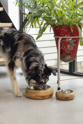 Beeztees DBL Köpek Mama Su Kabı, Dışı Masif Ahşap, Paslanmaz Çelik, 16,5cm, 650ml - 5